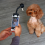 Είδη κατοικίδιων ζώων, Selfie stick, Photo stick, Universal photo stick για γάτες και σκύλους 3
