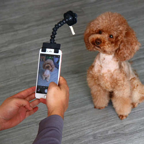Είδη κατοικίδιων ζώων, Selfie stick, Photo stick, Universal photo stick για γάτες και σκύλους 2