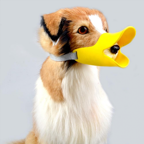 Gentle Dog Muzzle Protector - Prevents Biting and Unwanted Chewing, Secure and Comfortable Fit, Soft, Suitable for 1.5-4.5 kg 1
