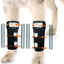 Tutori per gomiti per cani, supporti per gomiti, abbigliamento per il recupero dei cani, movimento migliorato