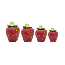 Conjunto de 4 Canisters em Forma de Morango, 83501 por ACK