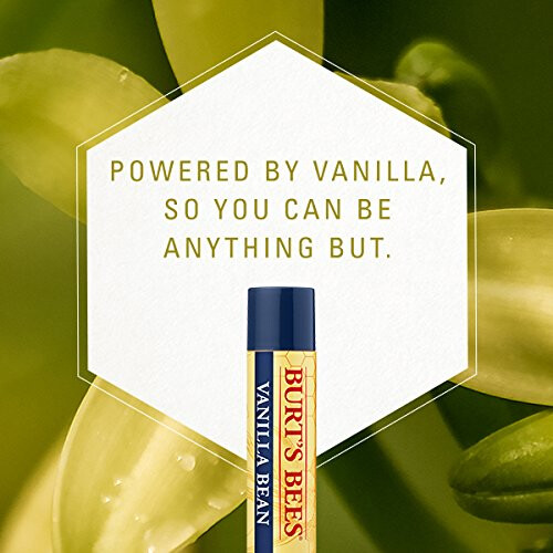 Burt's Bees Burt's Bees Βάλσαμο Χειλιών, Βανίλια, 0.15 Ουγγιές 2