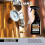 Flitz istantaneo ottone e rame rimodellati di rame - 16. oz spray 4