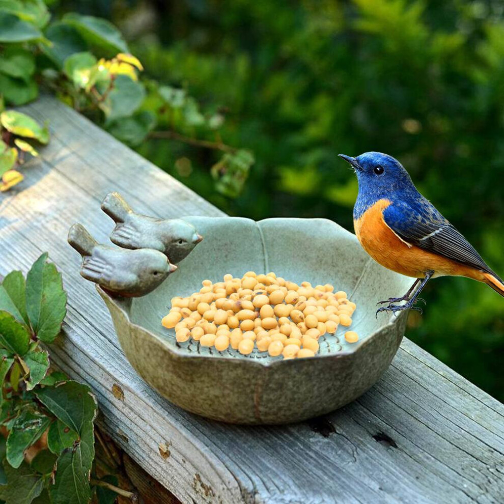 Weatherproof Ceramic Bird Bath Feeder - Perfect for Garden Wildlife