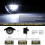 2 pezzi lampada targa LED SMD 3W 6500K bianco 12