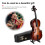 Charming Mini 23cm Cello Model Decoration with Full Accessory Kit 5