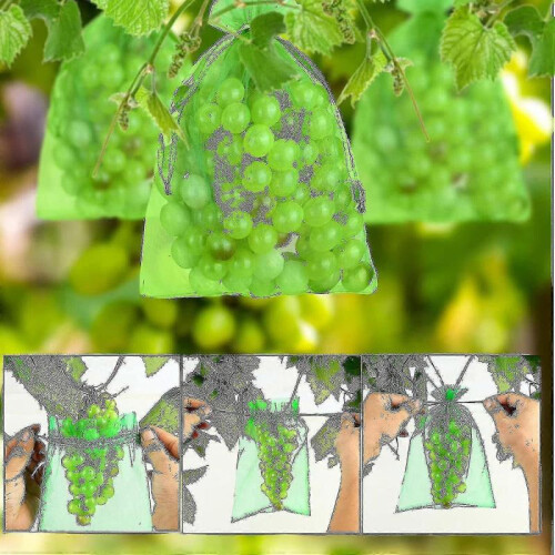 (15*20cm, White) 100pcs Bunch Protection Bag, Grape Fruit Organza Bag With Drawstring 1