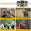 Outdoor 12MP Wildlife Camera 120 Range 46 LED Night Vision 7