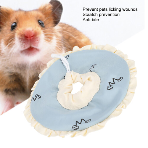 Small Pet Care: Elizabeth Circle Nursing Collar for Guinea Pigs 2
