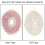 Pink L Pet Elizabeth Circle Collar for Small Pets Under 19cm 4