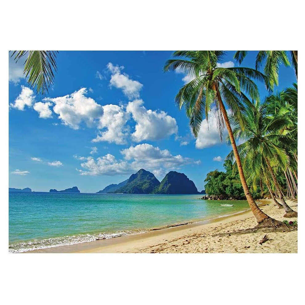 7X5ft Summer Tropical Beach Backdrop Seaside Island Palm Trees Photography Background For Picture Sea Sky Sunshine Luau Themed Blue 7042558871100