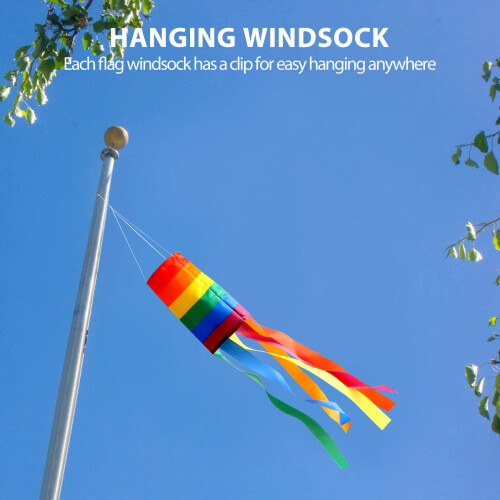 2 Pezzi Windsock Colorato Appeso Decorazione per Appendere All'Aperto 2