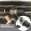 Motor Del Limpiaparabrisas para Primastar Vivaro 5