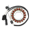 31120-007G-000 Bobina statore per motori Sector Outfitter 3