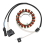 31120-007G-000 Bobina statore per motori Sector Outfitter 1
