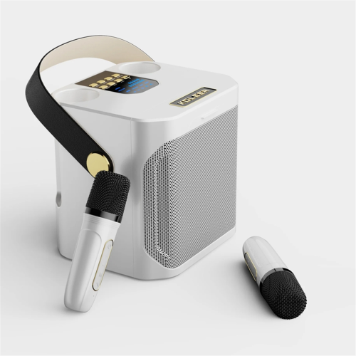 Hochleistungs-Karaoke-Bluetooth-Lautsprecher, tragbar, 360 Stereo B 1