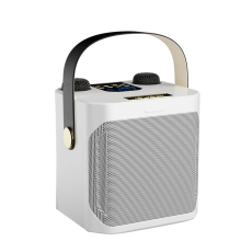 Hochleistungs-Karaoke-Bluetooth-Lautsprecher, tragbar, 360 Stereo B