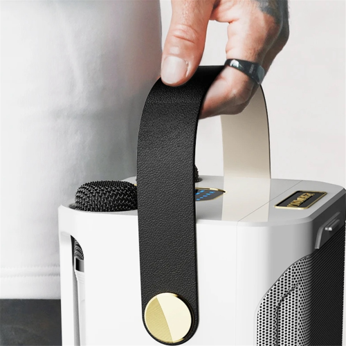 High Power Karaoke Bluetooth Speaker Portable 360 Stereo A 2