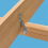 50Pcs Strong-Tie H2.5A, HOT-DIP Galvanized Steel Hurricane Tie 2