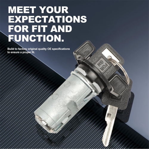 Ignition Lock Cylinder & Door Lock Cylinder Kit with Keys for 2