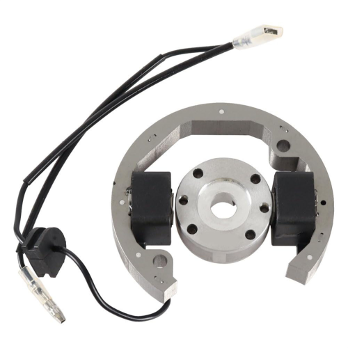 Zündspule Stator Rotor Schwungrad Kit für 1