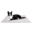 Dog Cooling Mat, Reversible Self Cooling Pad for Dogs (Cool & Warm) 1