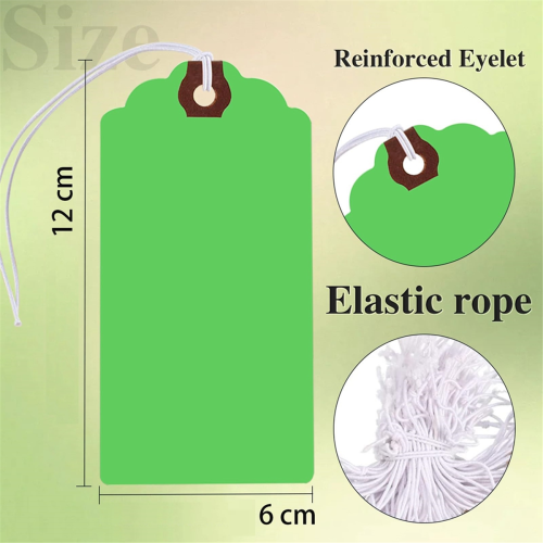 300 pezzi di etichette colorate con corde elastiche, carta bianca scrivibile 1