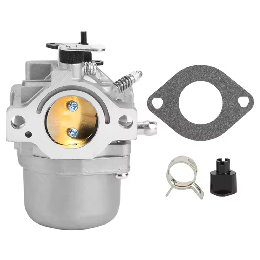 Carburetor For 799728 498027 4711483169196