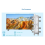 2PCS Satellite 8 Way Coaxial Cable Splitter 5-2400MHz F Type Plug 5