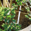 5PCS Water Level Meter Buoy Water Shortage Reminder 3