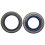 Set di 10 paraoli per 362 365 e Special 371XP 371 K 372 XP 3