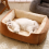 cat bed 2
