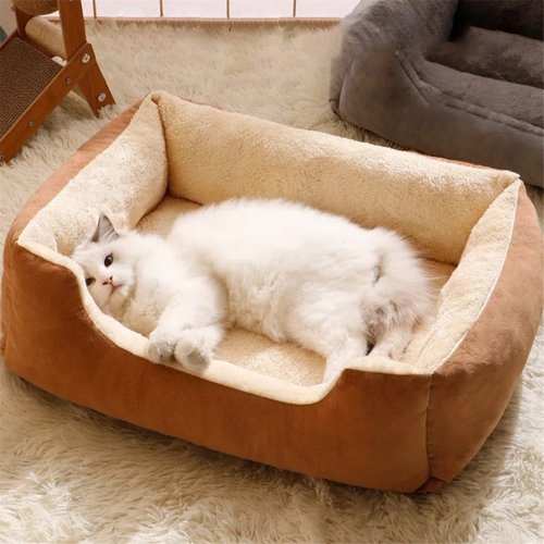 cat bed 1