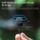 Lavalier Microphone For X4 Lavalier Microphone 5