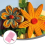 Guide Quilling Board Quilling Strickbrett Papiergitter Guide Pink 5