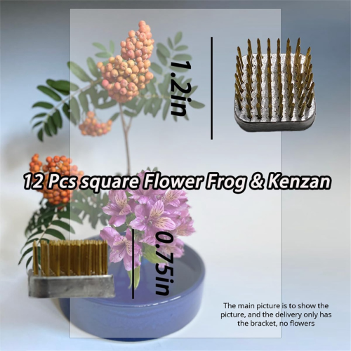 Conjunto de 12 suportes para arranjos florais, quadrados de 3 cm (1,2 polegadas). 1