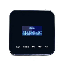 Smart Home in Wall Volume Control with 20Wx2CH Amplifier Audio(Black)