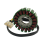 Motorcycle Stator Coil Generator for 125 RC125 90139004000 5