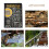 4 okładki menu, 8,5 x 11 cali, 4 strony, widok 8, format A4, książka menu 5