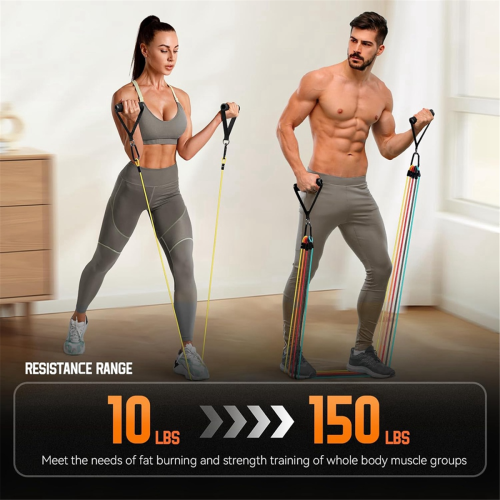 Resistance Bands with Handles, Exercise Bands Resistance Bands Set 2