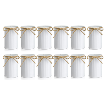 12Pcs Farmhouse Vase Decor Vintage Flower Vase with Twine Bow Metal
