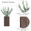 Wood Wall Planter Vase with Artificial Eucalyptus 4