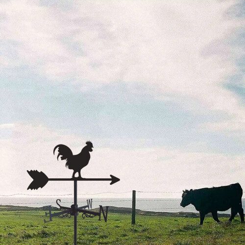 Haan Haan Windwijzer Silhouet Windvaan Indicator 1