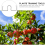 Outil de pliage de branches à angle ouvert pour arbres fruitiers (25 pièces) 2