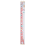 C Canvas Growth Chart for Kid -Unisex Kids Room Wall Decor- Measuring 1