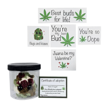 Adopt a Weed Plushie,Jar Funny Plush Desktop Accessories A