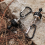 5PCS Magnetic Carabiner Keychain Camping Snap Clip 3