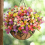 For Outdoors,6 Bundles Artificial Plants Outdoor 3