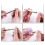 11Pcs Hand Twist Drill Set 0.5-2.0mm Woodworking Hand Punch Tool Kit 5