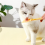 Pet Feeder Spoon Cat Snack Liquid Food Squeeze Tools Spoon White 5